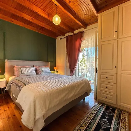 Virginia's Penthouse Apartment