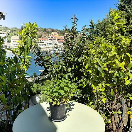 Virginia's Penthouse Κασσιόπη