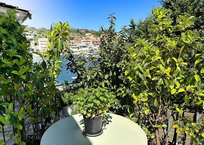 Virginia's Penthouse 卡西奥皮